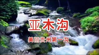 吉鹿力问答社区,解答你关于“兵后避地溪滨,复得旦暮握手,慨前迹之昀陈,预后期之可拟,不能已於言也”翻译的疑惑